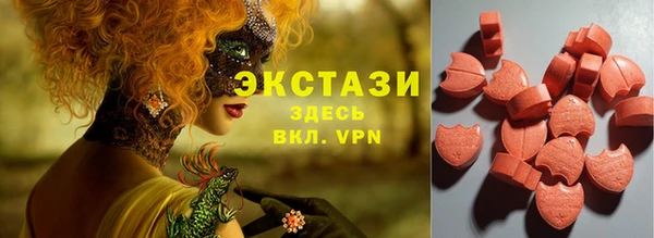 индика Корсаков